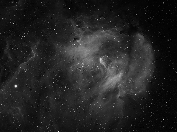 Running Chick Nebula (IC2948)